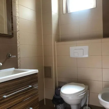 Vila Dona Cu Piscina *