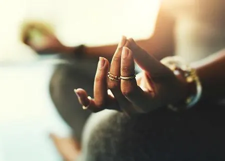 Guest house Vila Dona Cu Piscina 3*