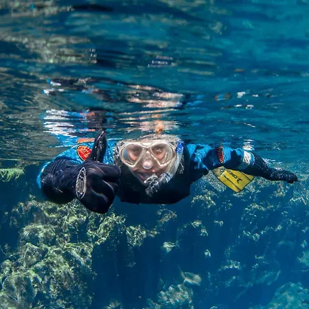 Vila Dona Cu Piscina 3*